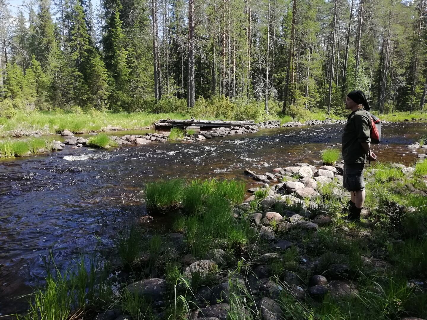 Kirkasvetinen joki jonka rannalla ja pohjassa on kiviä.  Vesi kuohuu hieman. Rannalla seisoo ihminen. Vastarannalla on mäntyjä ja muuta puustoa tiheästi.