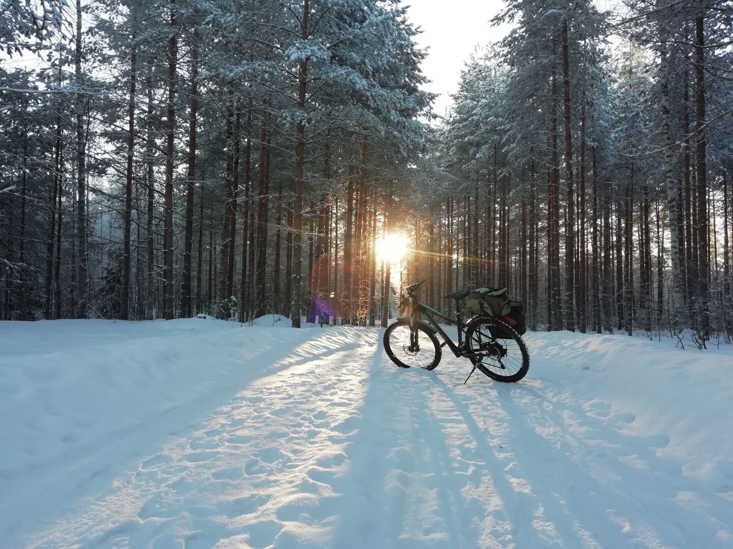 Maastopyörä seisoo lumisella metsätiellä. Aurinko paistaa kohti nuorien mäntyjen välistä.